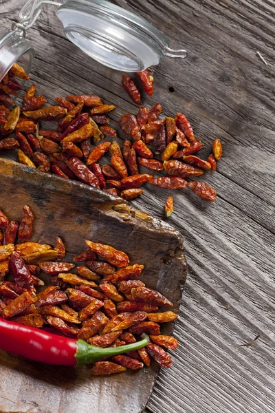 Red fresh and dried Chili Peppers — Stock Photo, Image