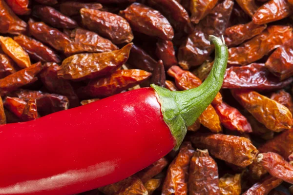 Macro shot de piments rouges — Photo