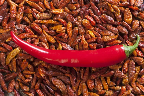 Background of dried chili peppers — Stock Photo, Image