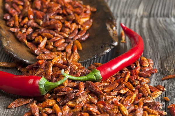 Two red chili peppers on dried chillies — Stock Photo, Image