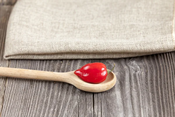 Roter Habanero Chilipfeffer auf einem Holzlöffel — Stockfoto