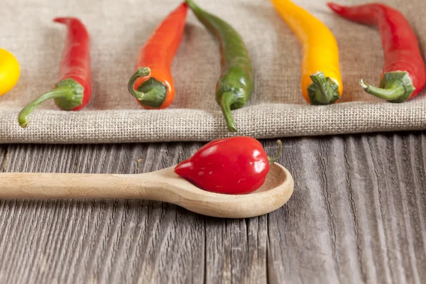 Red hot Habanero chili pepper on a cooking spoon — Stock Photo, Image