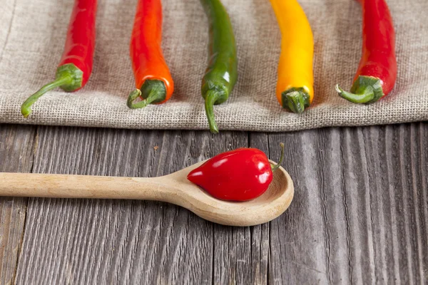 Red hot Habanero chili pepper on a cooking spoon — Stock Photo, Image