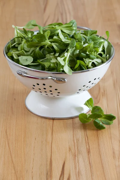 Fresh corn salad in a white enamel colander — Stock Photo, Image