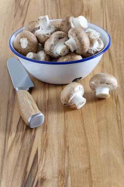 Enamel cup with fresh mushrooms — Stock Photo, Image