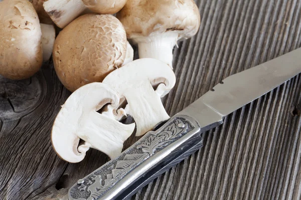 Hunting Knife with Mushrooms — Stock Photo, Image