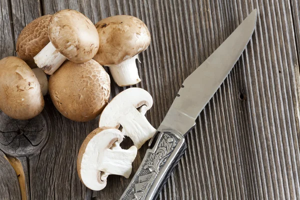 Fresh Mushrooms and a Hunting Knife — Stock Photo, Image