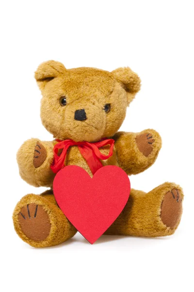 Stuffed animal Teddy — Stock Photo, Image