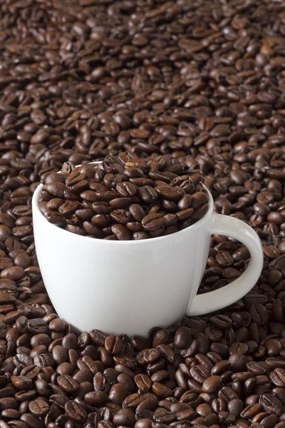 Koffiekopje gevuld met bonen — Stockfoto