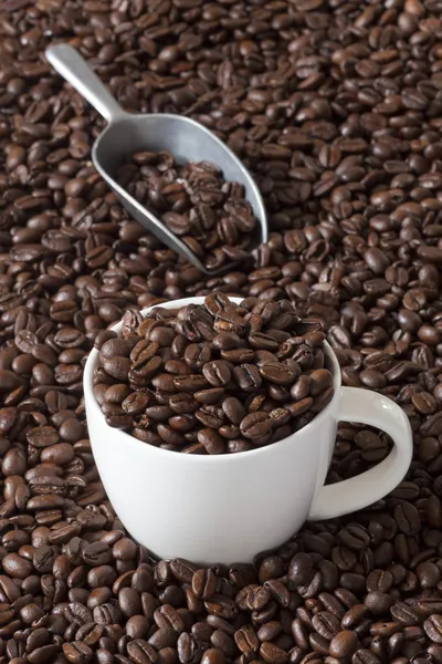 Kaffeebecher und Bohnen — Stockfoto