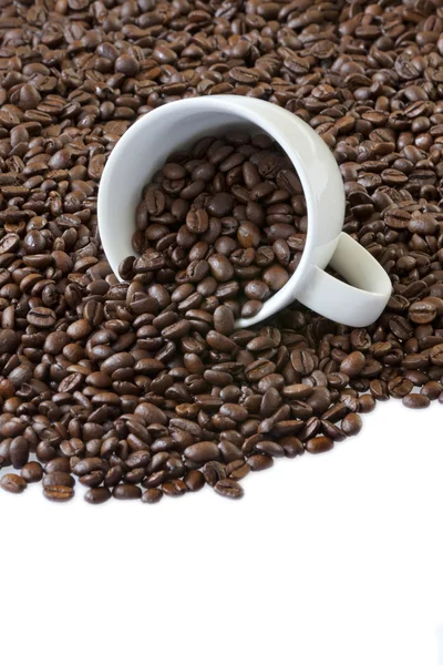 Coffee Cup and Beans — Stock Photo, Image