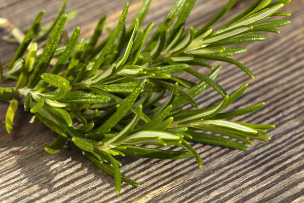 Rosemary twig on wooden board — Stock Photo, Image