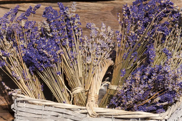 Dried Lavender in basket — Stock Photo, Image