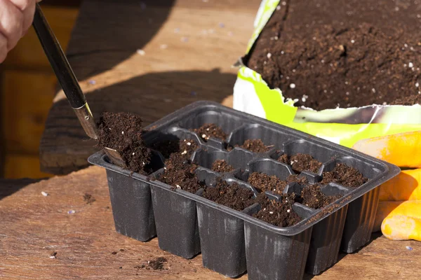 Potting solo em bandejas de plantas plásticas pequenas — Fotografia de Stock