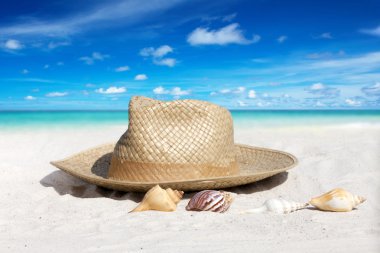 Hasır şapka ve deniz plaj