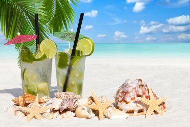 Mojito palmiye yaprakları altında kokteyl