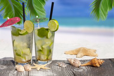 Mojito palmiye yaprakları altında kokteyl