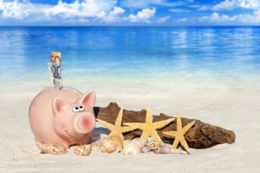Sahilde banknotlar ile Piggy banka