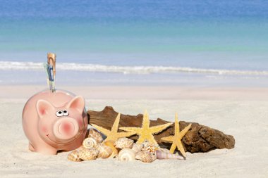 banknot ile Piggy banka tasarruf