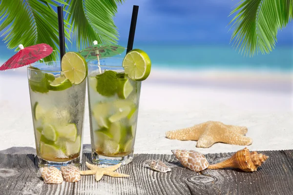 Mojito koktejl pod palmovými listy — Stock fotografie