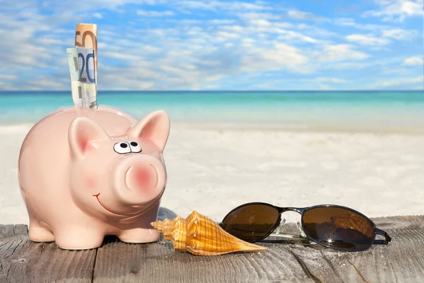 Piggy Bank with banknotes and Sunglasses — Stock Photo, Image
