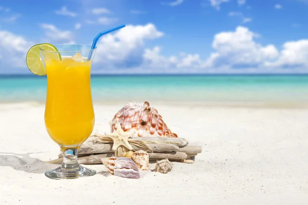 Tropický koktejl na pláži — Stock fotografie