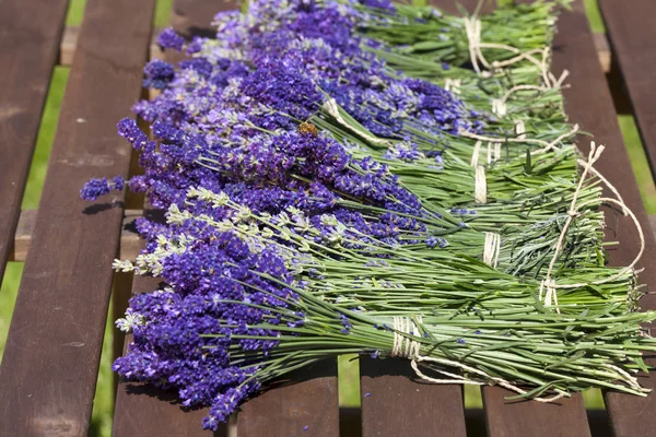 Lavendel na de oogst op de tafel — Stockfoto