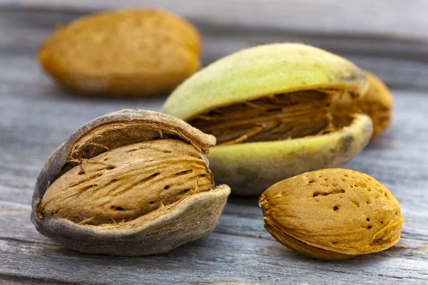 Freshly harvested almonds on a wooden table — Stock Photo, Image