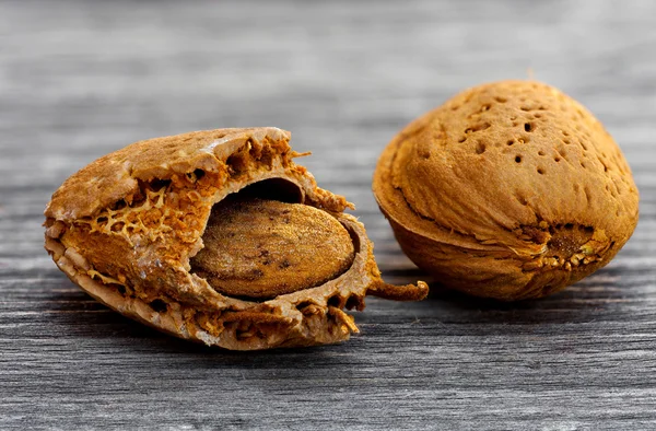 Almond fruit half open and one closed — Stock Photo, Image