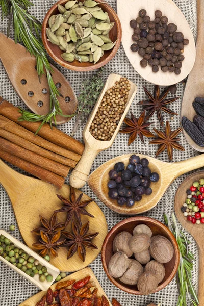 Many fragrant spices in bowls and scoops — Stock Photo, Image