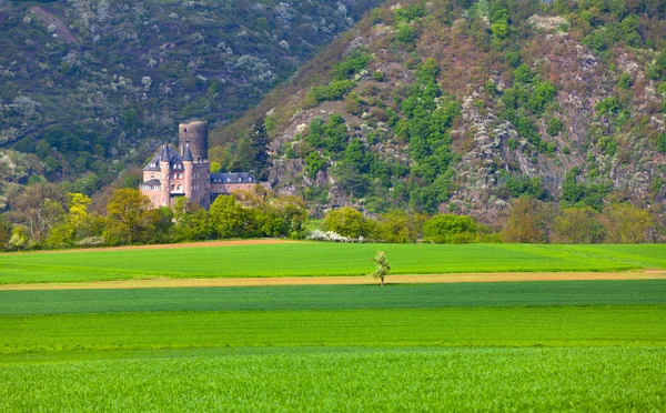 Pohled na historické burg katz hrad na Rýně — Stock fotografie