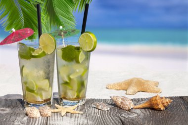 Mojito palmiye yaprakları altında kokteyl