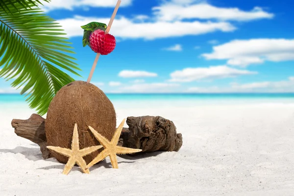 Kokosnuss mit Trinkhalm am Strand — Stockfoto