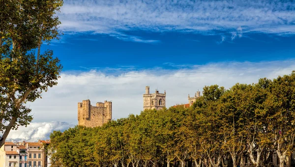 Vista de las torres de la catedral de Narbona — Foto de Stock