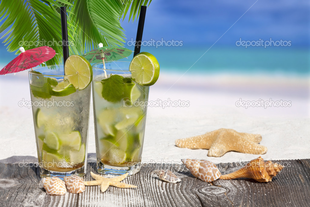 Mojito Cocktail under Palm Leaves