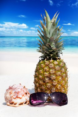 Tüm ananas meyve sahilde anlamına gelir.