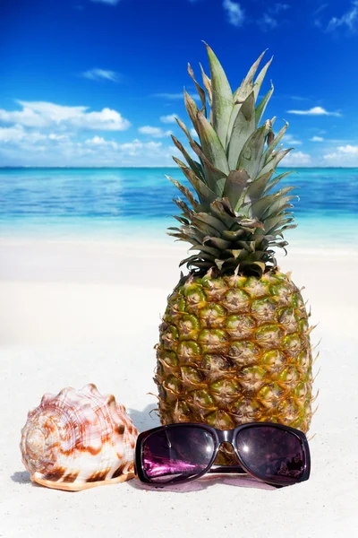 Hele ananas fruit staat op het strand — Stockfoto