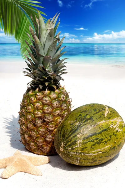 Fruitige ananas en meloen — Stockfoto