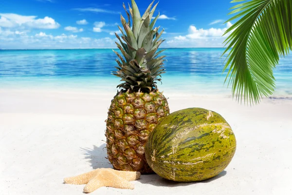 Fruchtige Ananas und Melone — Stockfoto