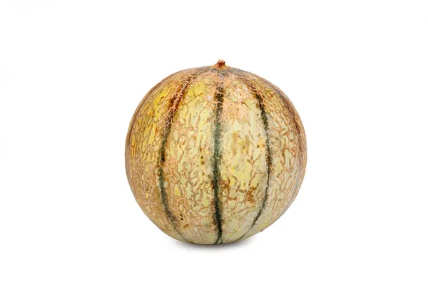 One Galia Melon Cantaloupe — Stock Photo, Image