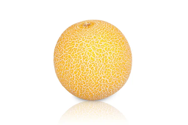 One Galia Melon — Stock Photo, Image
