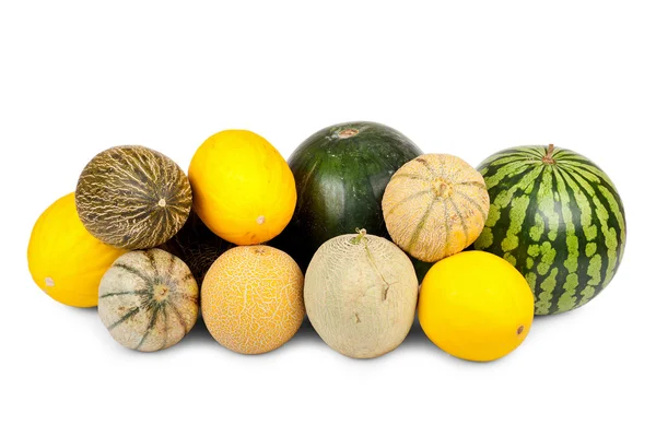Many different varieties of melons — Stock Photo, Image
