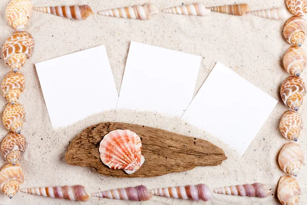 Sand background with blank instand photos and shells — Stock Photo, Image