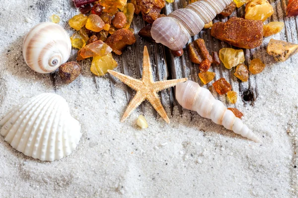 Background of amber and seashells — Stock Photo, Image