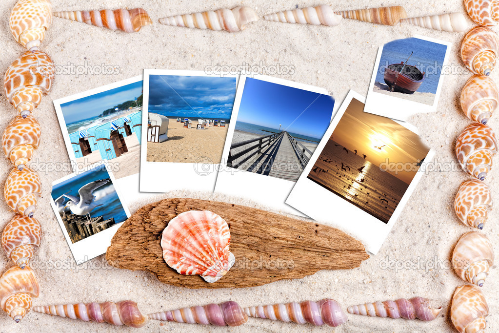 Sand background with instand photos and shells