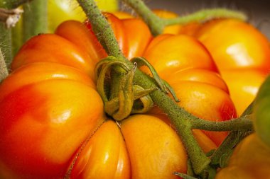 yakın çekim büyük biftek domates