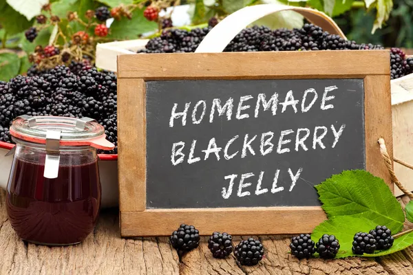 Slate blackboard with the words: Homemade Blackberry Jelly — Stock Photo, Image