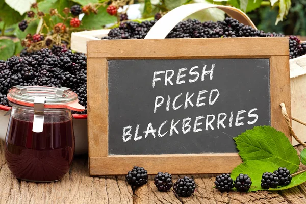 Pizarra de pizarra con las palabras: Fresco Picked Blackberries — Foto de Stock