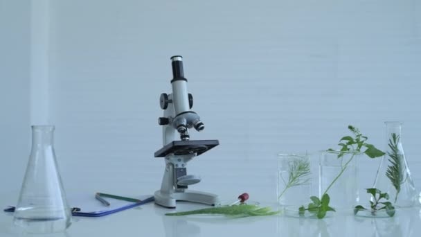 Wetenschapsconcept Van Resolutie Biologische Apparatuur Het Laboratorium Plantkunde Moleculaire Gegevensverzameling — Stockvideo