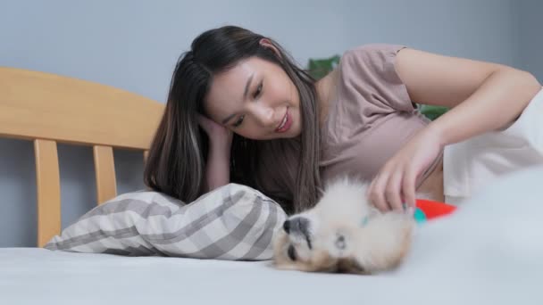 Conceito Férias Resolução Mulher Asiática Brincando Com Seu Cão Quarto — Vídeo de Stock